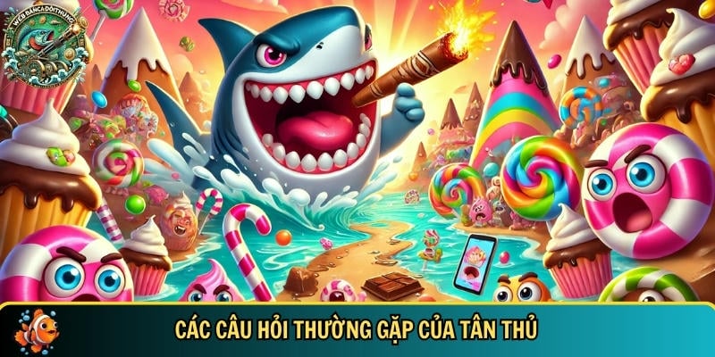 Tổng hợp các câu hỏi thường gặp của tân thủ khi chơi banca - webbancadoithuongcom