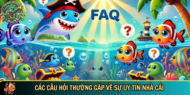 Tổng hợp các câu hỏi thường gặp về sự uy tín của nhà cái bắn cá đổi thưởng - webbancadoithuongcom
