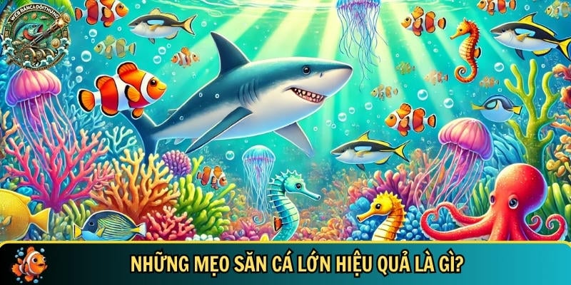 Tổng hợp các mẹo săn cá lớn hiệu quả