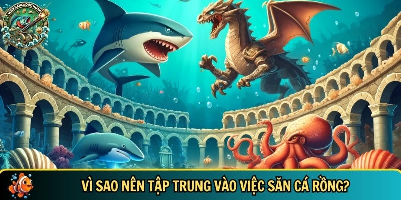 Giải mã lý do vì sao bạn nên tập trung việc bắn cá rồng